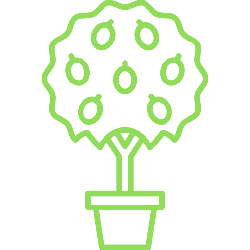 Alberi da frutta